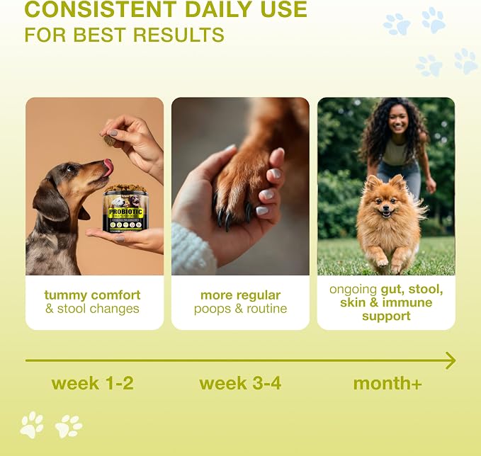 Probiotics for Dogs with Digestive Enzymes & Prebiotics - Sensitive Stomach