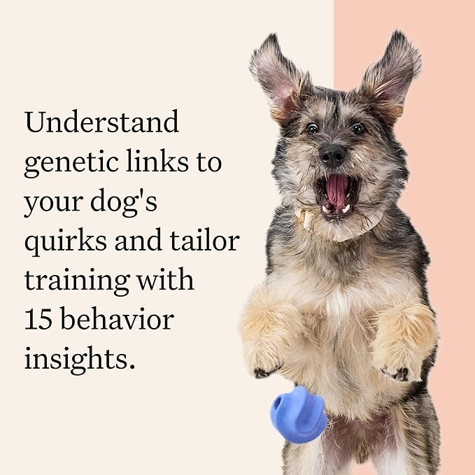 Wisdom Panel Premium DNA Test Kit, 2-Pack