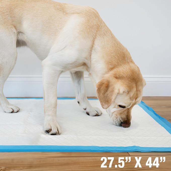 Four Paws Wee-Wee Superior Performance Pee Pads for Dogs with Runoff Barrier Edge Guard Protection, Puppy & Dog Potty Training Pads, Housebreaking Supplies, 27.5" x 44" (8 Count)
