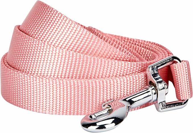 Blueberry Pet Essentials Baby Pink Dog Leash for Large - 4' * 1" Dogs | Heavy Duty Nylon Lead | Lightweight Puppy & Cat Leash for Walking & Training