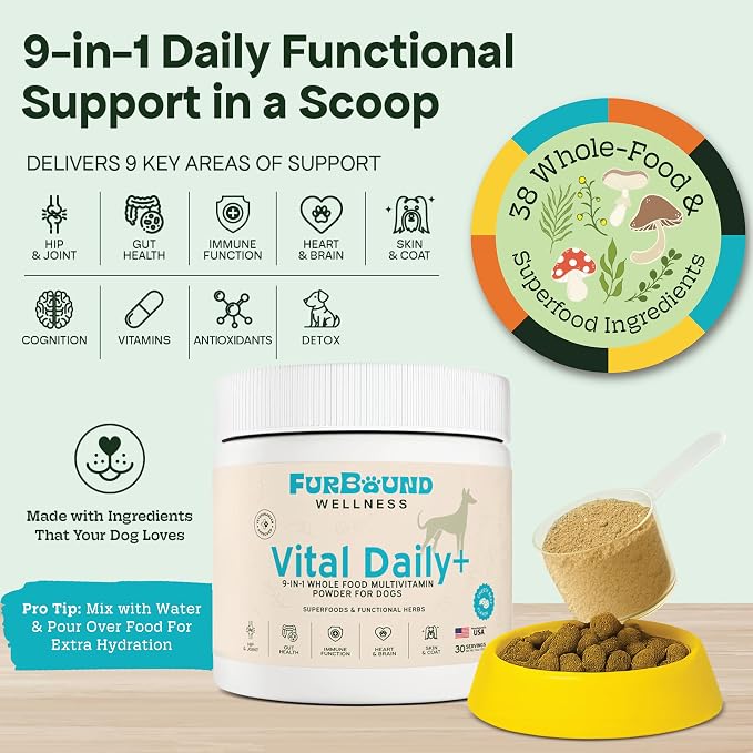 Dog Multivitamin Powder, Skin Coat Joint & Gut, Cheesy Beef