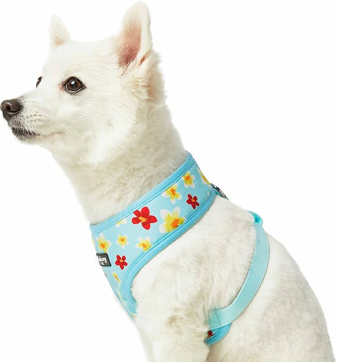 Blueberry Pet Soft & Comfy Fragrant Plumeria Dog Harness Vest, Aqua, Chest Girth 19.5" - 26", Medium, Adjustable Harnesses for Dogs