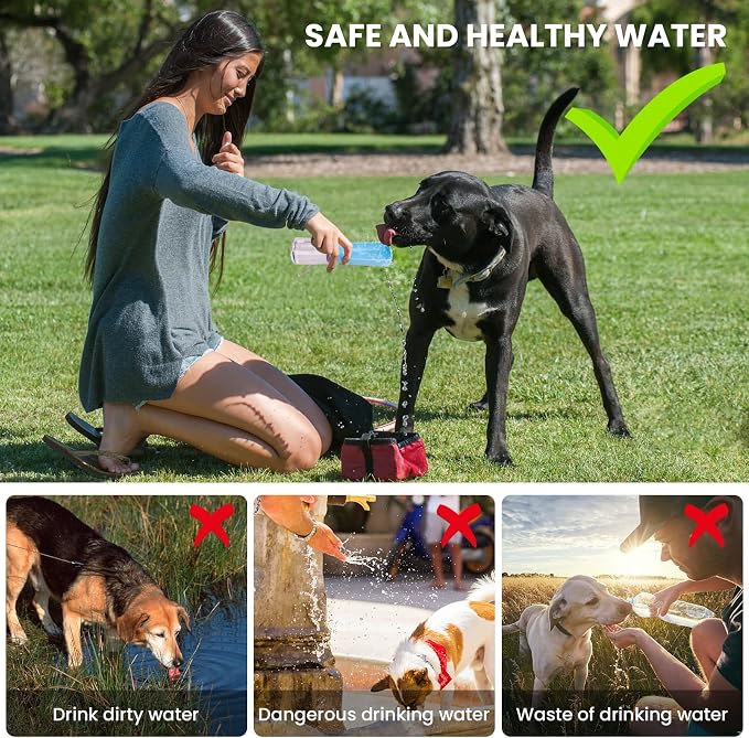 Portable Dog Water Bottle, Foldable, 12oz, SkyBlue
