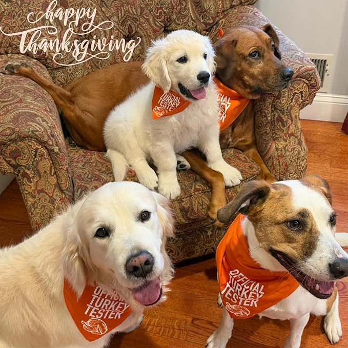 Dog Fall Bandanas Theme, Turkey, Large, Medium, Orange