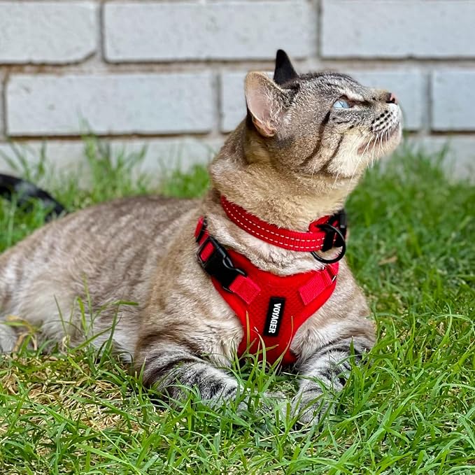 Voyager Escape-Proof Step-in Lock Cat Harness & 5ft Neoprene-Handle Leash Set All-Weather Mesh with Reflective Stitching for Small to Large Cats by Best Pet Supplies, Red, S