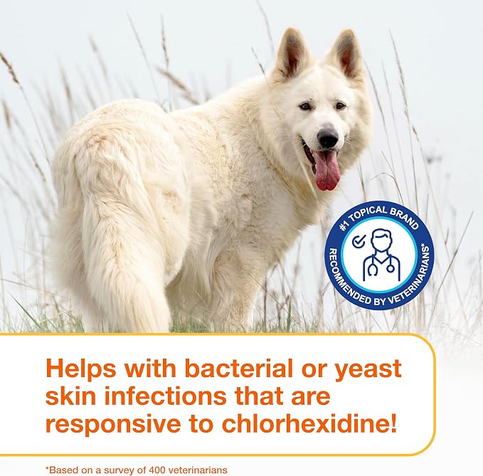 Douxo S3 PYO Medicated Dog Shampoo with 3% Chlorhexidine for Dogs – Antibacterial & Antiseptic Yeast Infection Treatment For Dogs & Cats, Clinically Proven, 6.7 fl oz | Antibacterial & Antiseptic Yeast Infection Treatment For Dogs & Cats, Clinically Pr...