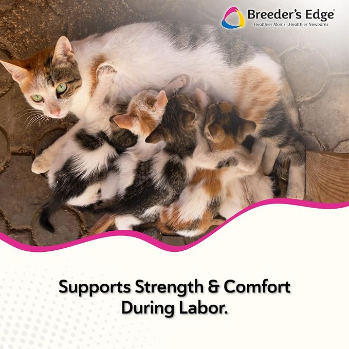 Breeder's Edge Oral Cal Plus Gel for Dogs & Cats, 3-Calcium Support, 15ml