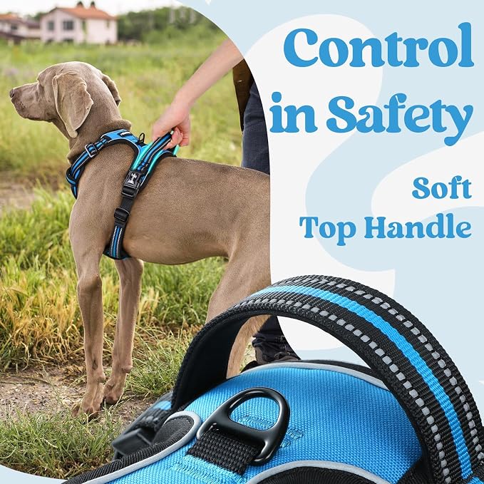 rabbitgoo Dog Harness Medium Sized, Updated Easy On & Off with 3 Buckles | No Pull No Choke, Walking with 2 Clips and Handle, Adjustable Soft Reflective, Sky Blue, Medium