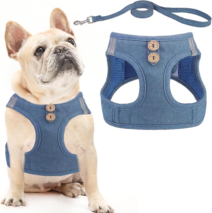 PUPTECK Dog Harness and Leash Set for Small Medium Dogs No Pull Step-in Soft Mesh Puppy Cat Vest Harnesses Reflective at Night, Denim Steelblue S