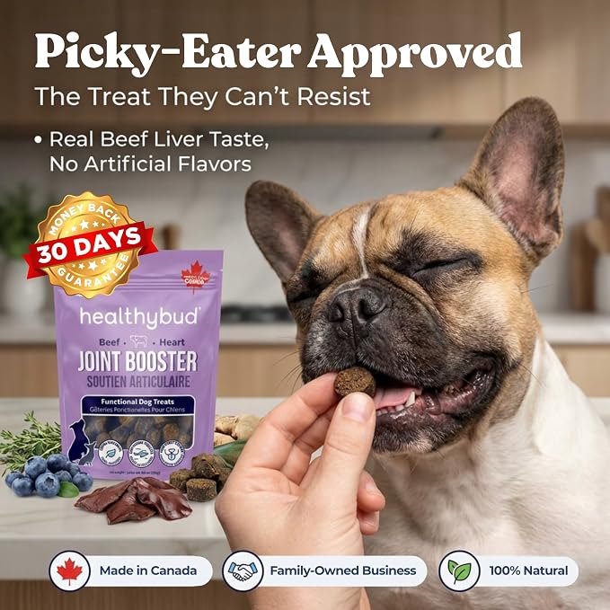 healthybud Hip & Joint Soft Chews for Dogs – Grain-Free Functional Dog Treats with Glucosamine, Chondroitin & Green Lipped Mussel – Daily Mobility Support – for All Ages & Breeds – 130 g (4.6 oz)