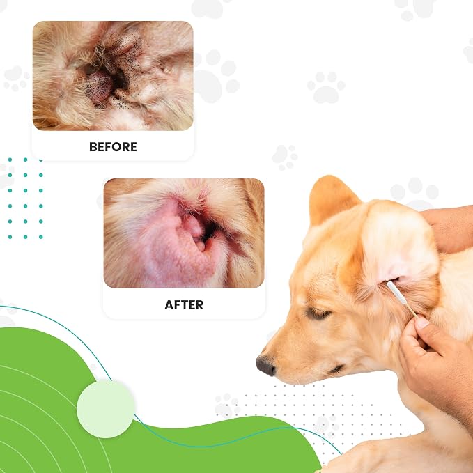 We Love Doodles Long Cotton Dog Ear Swabs, Double Sided