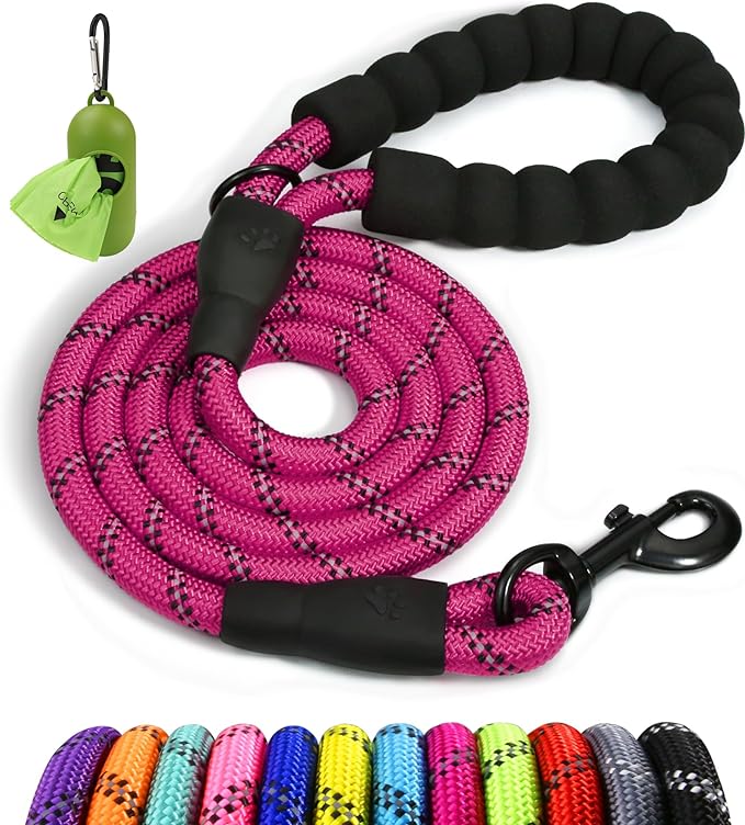 Taglory Rope Dog Leash for Small Medium Dogs, 5 FT Padded Handle, Hotpink | Made of Climbing Rope, Reflective for Night Walks and Training, Comfortable Grip, Anti-tangle Swivel Clip, 3/8 inch