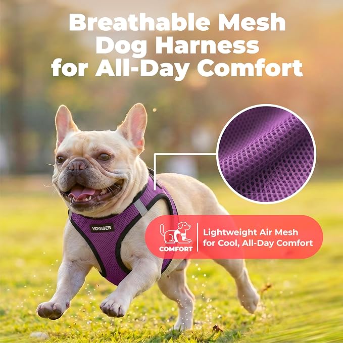 Voyager Step-in Air Dog Vest Harness - Purple/Black Trim, X-Small | 13 - 14.5" in Chest, Reflective Bands, All Weather Breathable Air Mesh, Cats Compatible, Lightweight, Fast Drying