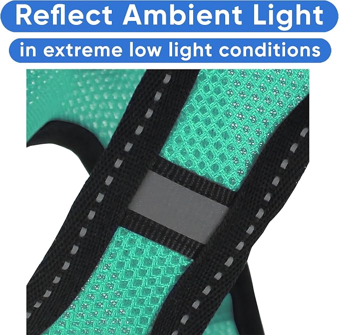 Pawtitas Dog Vest Harness Made with Breathable Air Mesh | All Weather Vest Harness for Medium Puppies and Extra Large Cats with Quick-Release Buckle - Medium Teal Mesh Dog Harness