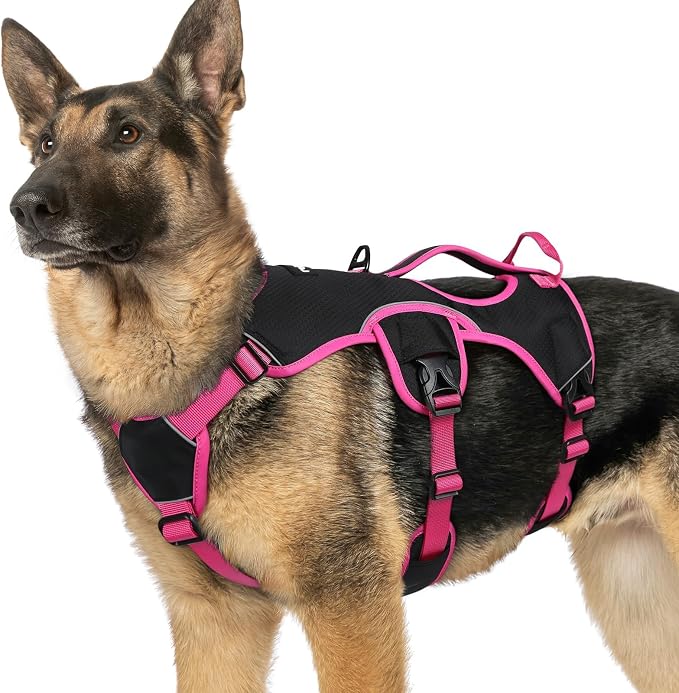 rabbitgoo Escape Proof Dog Harness for X-Large, No Pull with Lift Handle | No Escape, Full Soft Padded, Reflective Adjustable Vest, Leash Clip for Walking Hiking Training, Rose & Black, X-Large
