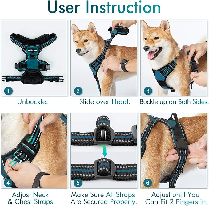 rabbitgoo Dog Harness, No Pull Medium Sized with 2 Leash Clips, Pet Vest | No Choke with Handle, Adjustable Soft Padded, Reflective, Easy Control for Walking, Blue Coral, Medium