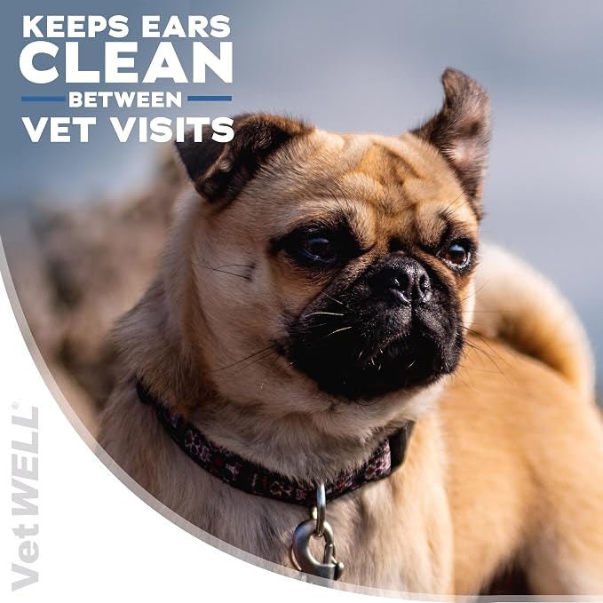 EarWELL by VetWELL Dog Ear Wipes, 100 Count