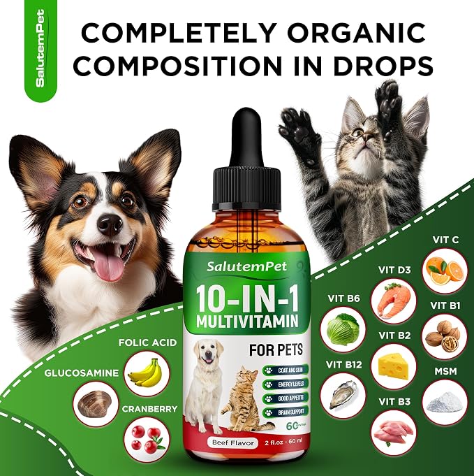 Сat Vitamins for Indoor Cats – Liquid 10-in-1 Multivitamin for Dogs – C, D3, B Group, for Skin, Coat, & Breathing – Natural Protection for Pets of All Ages – For Digestion & Bones – Beef Flavor – 2 Oz
