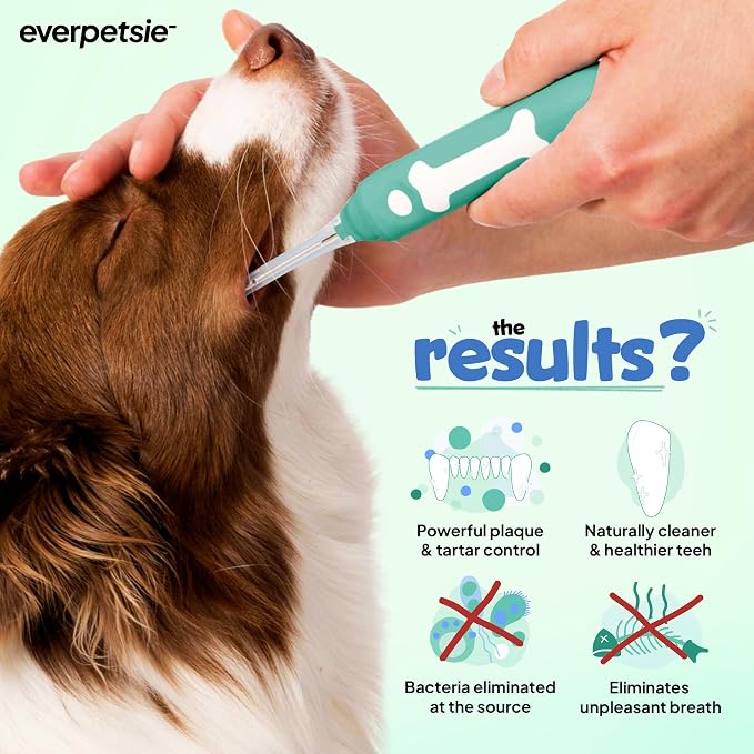 Electric Dog Toothbrush with Innovative Electrolytic Technology - Silent and Gentle Electric Toothbrush for Dogs, Effortless Dog Plaque and Tartar Remover Without a Toothpaste (Large)