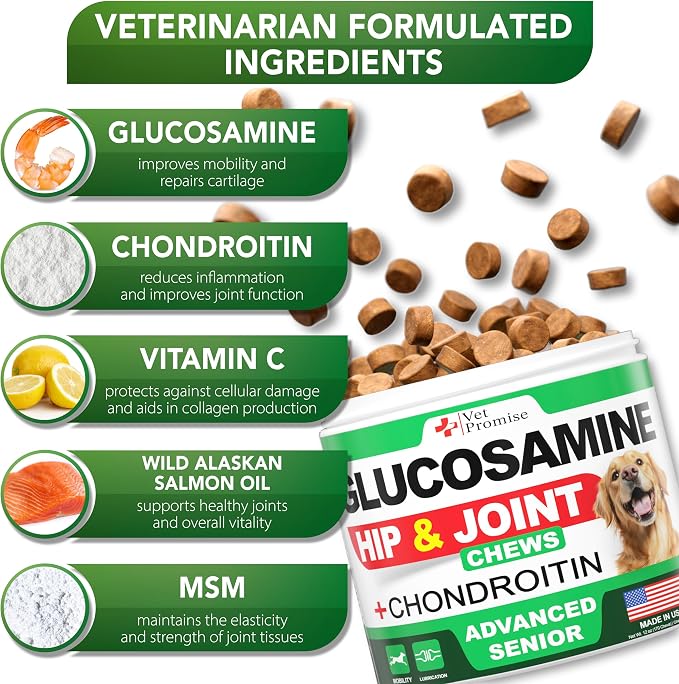 Glucosamine for Dogs - 170 Chews - Senior Hip and Joint Supplement for Dog