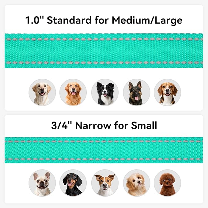 Joytale Reflective Dog Leash for Medium & Large Dogs, 4 FT x 1", Turquoise | Heavy Duty Nylon Webbing, Padded Handle for Comfort, Visible at Night, for Walking & Training