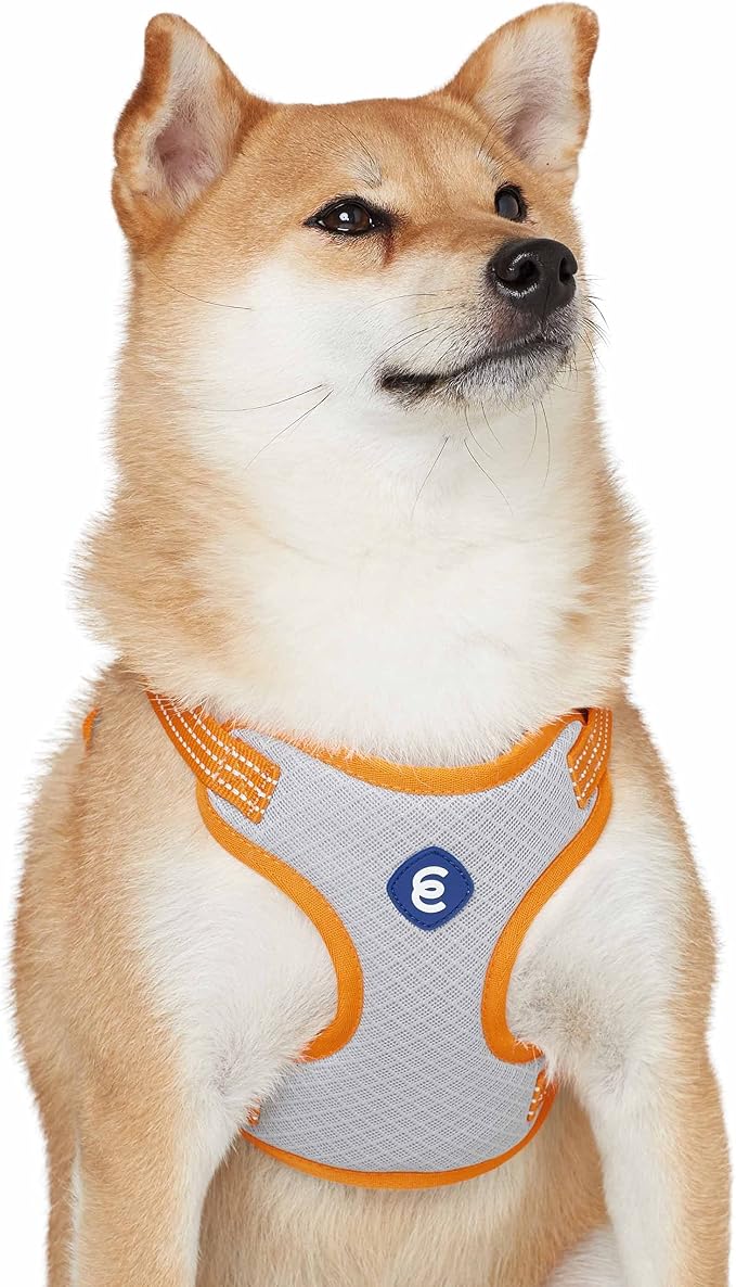 Blueberry Pet Essentials Back to Basics Reflective Dog Harness Vest, Apricot, Small, Adjustable Harnesses for Dogs