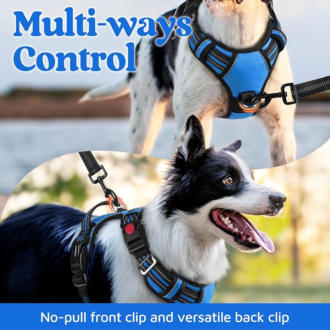 rabbitgoo Dog Harness for Large, No Pull 3 Buckles Easy On & Off | Soft Padded, Walking with Control Handle, Adjustable and Reflective, Blue, X-Large