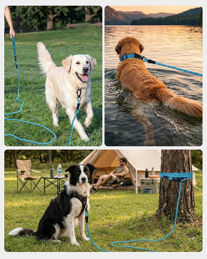 Joytale Long Dog Leash for Yard Tie Out & Recall Training, Blue, 65FT | Secure Locking Carabiner, Removable Padded Handle, Reflective Webbing for Night Safety, Ideal for Outdoor Play and Camping