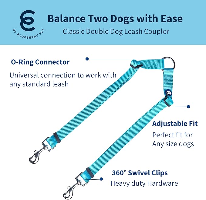 Blueberry Pet Essentials Durable Classic Double Dog Leash Coupler, Turquoise, Small, Dual Walking & Training Leashes for Two Dogs