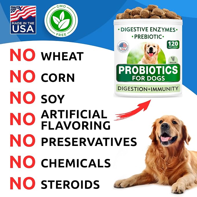 Allergy Relief + Probiotics & Digestive Enzymes for Dogs - Anti-Itch Skin & Coat Supplement - Omega 3 Fish Oil - Gut Health - Pet Diarrhea Gas Treatment, Upset Stomach Relief Pills, Digestion Health