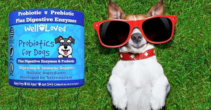 Well Loved Probiotics for Dogs, Dog Probiotics, Made in USA, Vet Developed