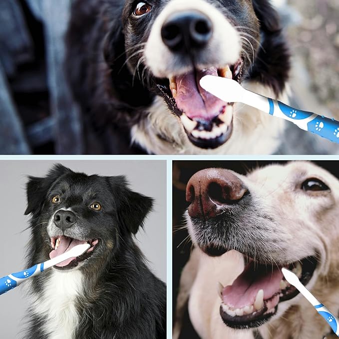 4Pcs Professional Pet Toothbrush, Dog & Cat Soft Bristle Double-Sided Brush Head Set, Pet Brushing Teeth to Clean Teeth to Reduce Tartar Buildup, Pet Dental Care Essentials