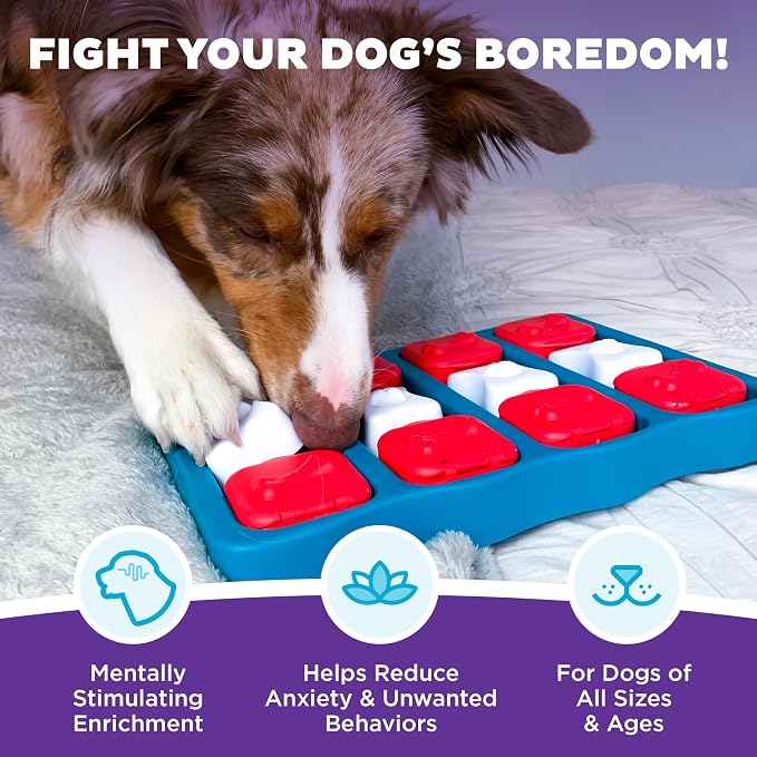 Outward Hound by Nina Ottosson Dog Brick – Interactive Treat Puzzle Enrichment Toy, Level 2 Intermediate, 1 Count (Pack of 12)