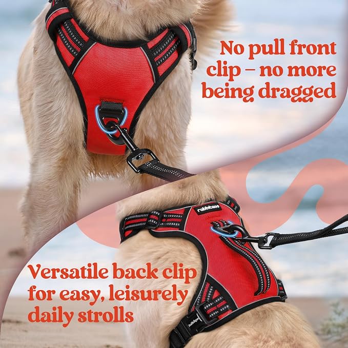 rabbitgoo Large Dog Harness, Easy Wear with 3 Buckles and Lift Handle | No Pull with Front Clip for Walking, Adjustable Soft Padded, Reflective, Easy Control, Red, Large