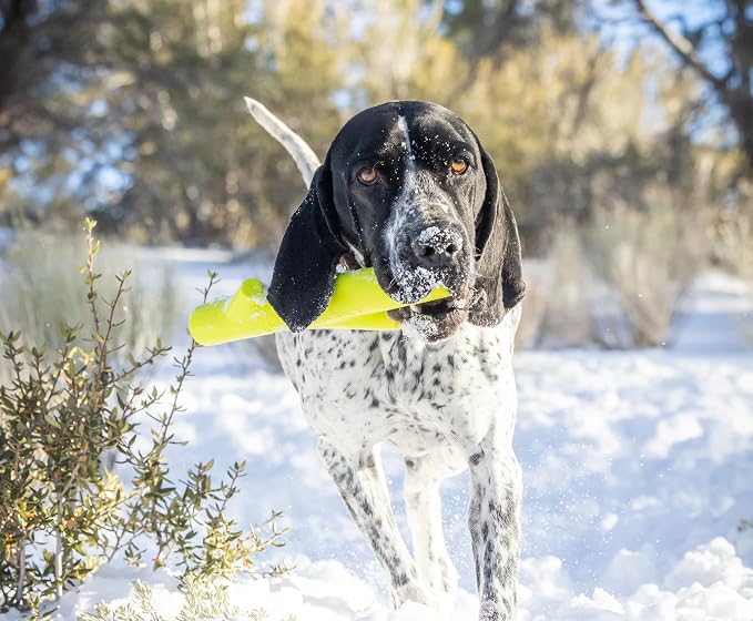 Hyper Pet Fetching Dog Toys - Throwing Stick Dog Toy Made With EVA Foam - Easy To Clean & Floats On Water | Easy to clean design for pool or beach days, buoyant and lightweight for all breeds, keeps pups splashing and retrieving
