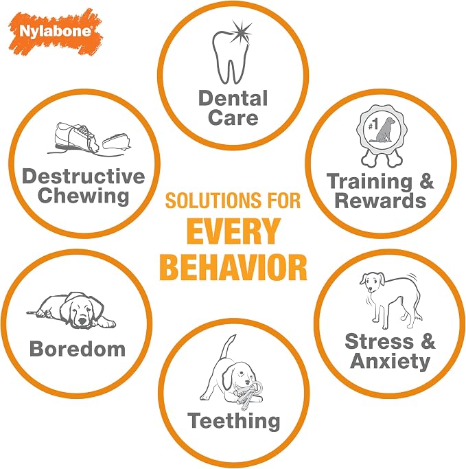 Nylabone Power Chew Dental Dinosaur Dog Chew Toy, Chicken Flavor, Large | Large breeds, durable dog toys for aggressive chewers, long lasting, discourages destructive chewing, for dogs up to 50 lbs