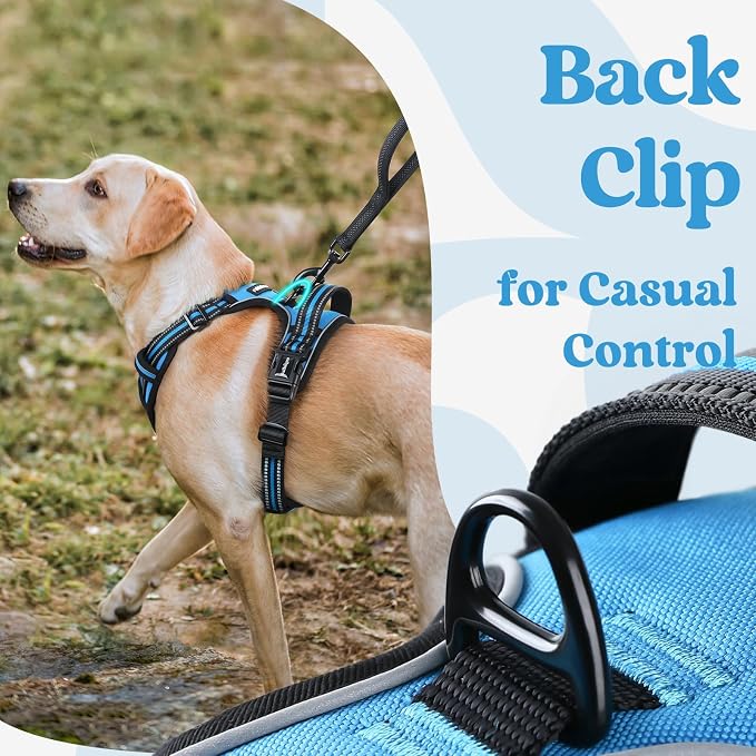 rabbitgoo Dog Harness Medium Sized, Updated Easy On & Off with 3 Buckles | No Pull No Choke, Walking with 2 Clips and Handle, Adjustable Soft Reflective, Sky Blue, Medium