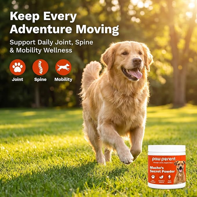 Paw Parent Macho's Secret Powder, Green Lipped Mussel Hip & Joint Powder for Dogs, Spine and Disc Powders, Cardiac Shield Formula with Glucosamine, Msm & Omega-3 for Mobility Support，3Pc