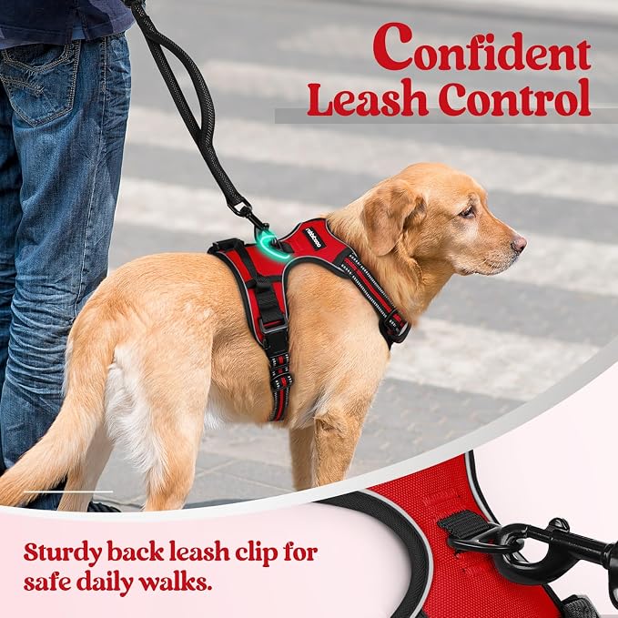 rabbitgoo Dog Harness, No Pull Medium Sized with 2 Leash Clips, Pet Vest | No Choke with Handle, Adjustable Soft Padded, Reflective, Easy Control for Walking, Red, Medium