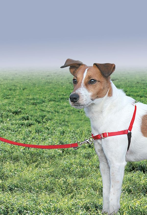 PetSafe Easy Walk No-Pull Dog Harness - Ultimate Harness to Help Stop Pulling - Pull-Free Walks - Take Control & Teach Better Leash Manners - Patented Martingale Loop Design - Red, Small/Medium