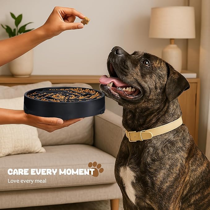 WHIPPY Slow Feeder Dog Bowl, Puzzle Maze Design to Slow Down Eating, 3-Cup Capacity, Anti-Gulping Food Bowl for Medium & Large Dogs,Navy Blue