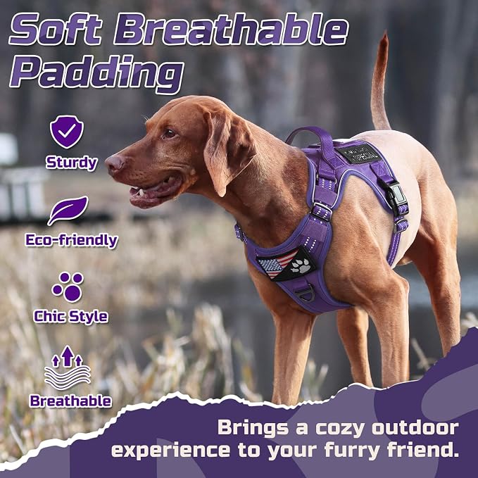 rabbitgoo Tactical Dog Harness for Medium, No Pull Military Service Vest | Molle & Handle, Heavy Duty, Adjustable, Reflective Straps, Easy Control for Training Walking, Purple, Medium