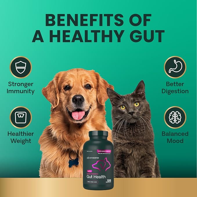 VetriScience Extra Strength Gut Health for Dogs and Cats, 120 Count