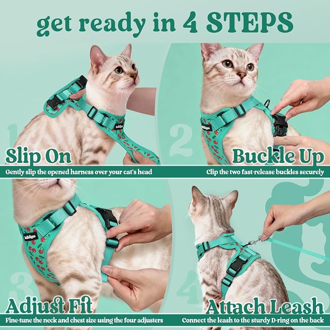 rabbitgoo Cat Harness and Leash Set, Escape Proof Vest, Cherry Grove | Soft Breathable Mesh, Easy Adjustable Fit, Snap Buckles, Sturdy Clip, Reflective Strips, for Kittens & Small Cats Walks, Xxs