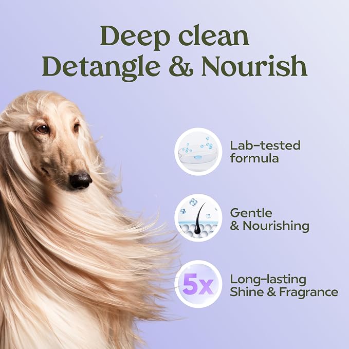 PAWFUME Dog Shedding Shampoo and Conditioner, Royal Lavender, 1-Pack | Probiotic pH-balanced deep-cleaning formula nourishes and detangles silky coats, salon-quality Shedding Shampoo for Dogs