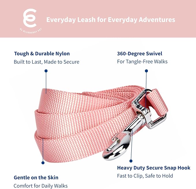 Blueberry Pet Essentials Baby Pink Dog Leash for X-Small -5' * 3/8" Dogs | Heavy Duty Nylon Lead | Lightweight Puppy & Cat Leash for Walking & Training