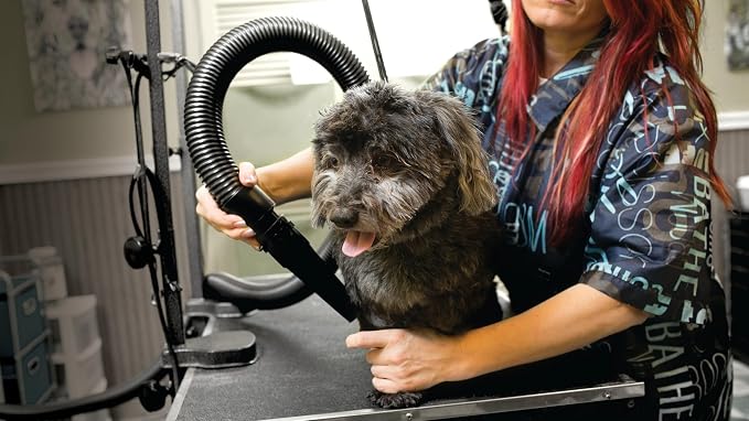 METROVAC AFTD-3V Air Force Commander Variable Speed Pet Grooming Dryer Purple | High Velocity Dog Hair Blower 4.0 HP USA