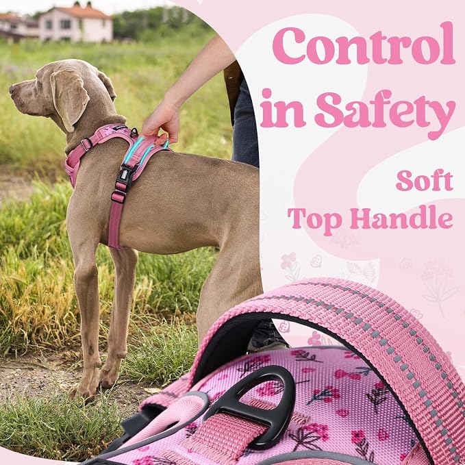 rabbitgoo Dog Harness Small Sized, Updated Easy On & Off with 3 Buckles | No Pull No Choke, Walking with 2 Clips and Handle, Adjustable Soft Reflective, Floral Pink, Small