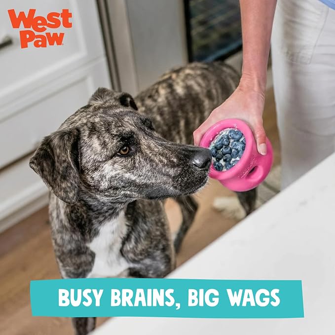 WEST PAW Zogoflex Toppl Interactive Treat Dispensing Puzzle Dog Toy for Mental Stimulation & Enrichment-Holds Kibble & Treats-Lickable, Freezable & Dishwasher Safe-Made in USA-XL-Teal (Pack of 2)