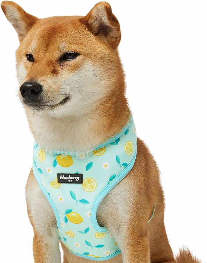 Blueberry Pet Zesty Fruit Dog Harness Vest, Adjustable Medium Size, Neck 18 3/4”, Chest 19 1/2”-26”, Refreshing Lemon Print, Summer Dog Harness